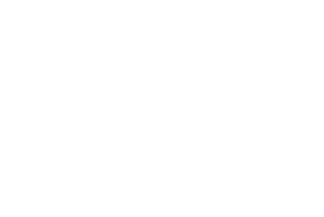 Allamsa Almaseya Project Manager